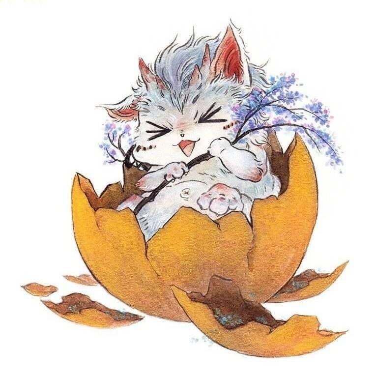 阿里嘎多直播号