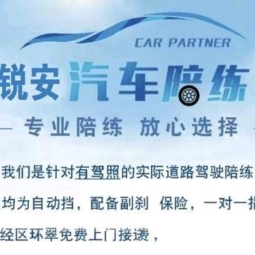威海锐安汽车陪练