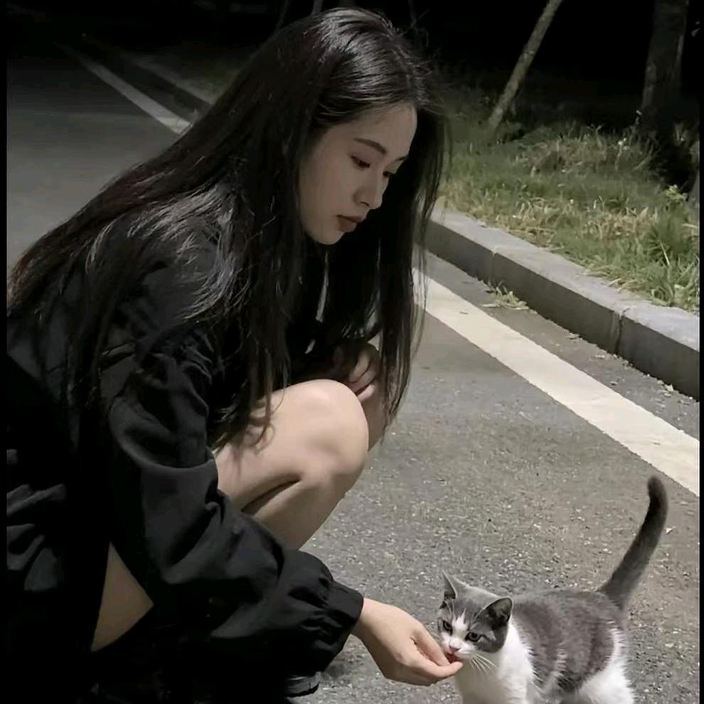 六六V.台球俱乐部(郑州店)