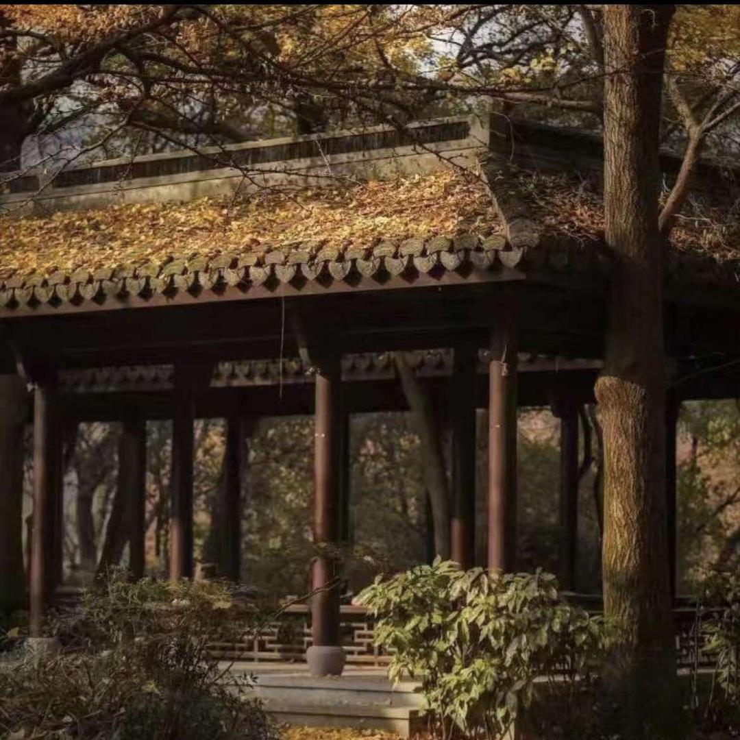 隆笙直播号