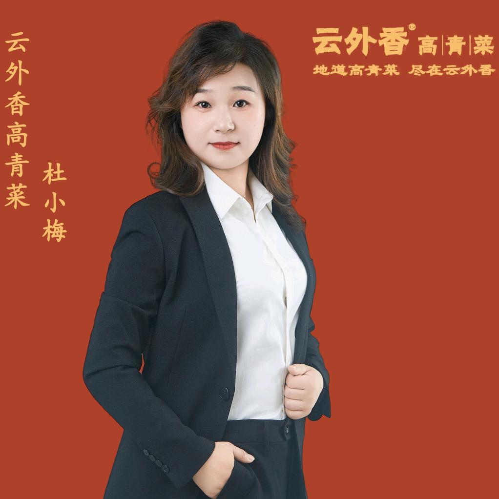 云外香高青菜