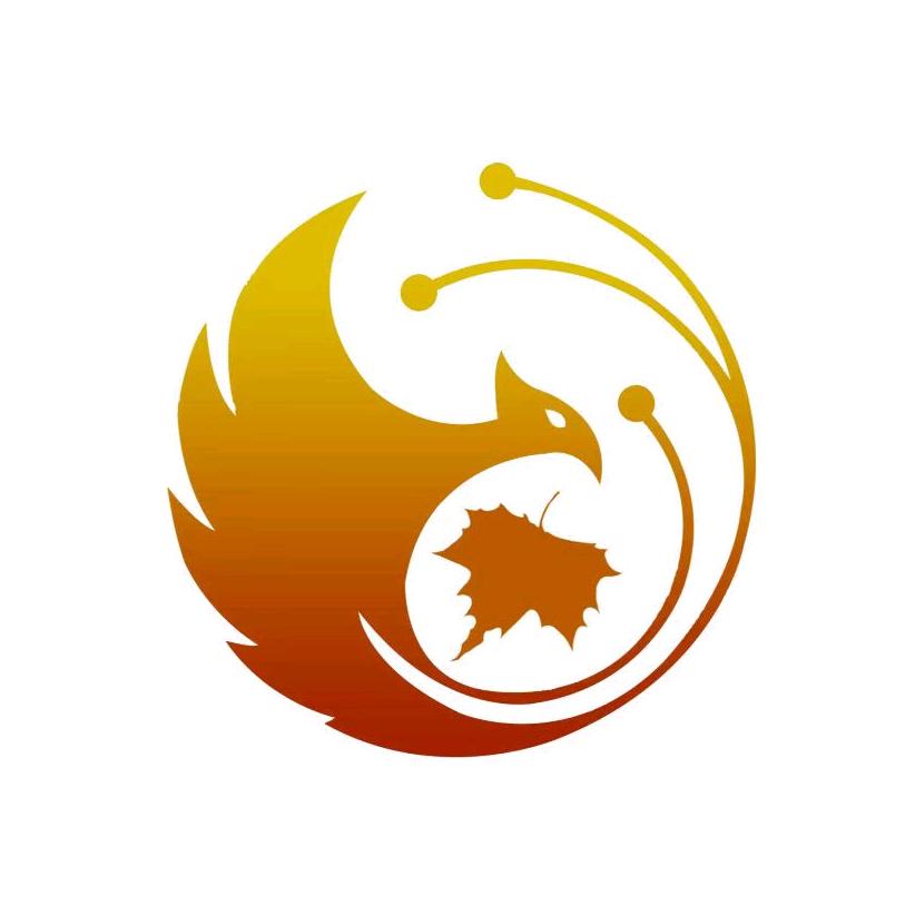 合肥梧山足球