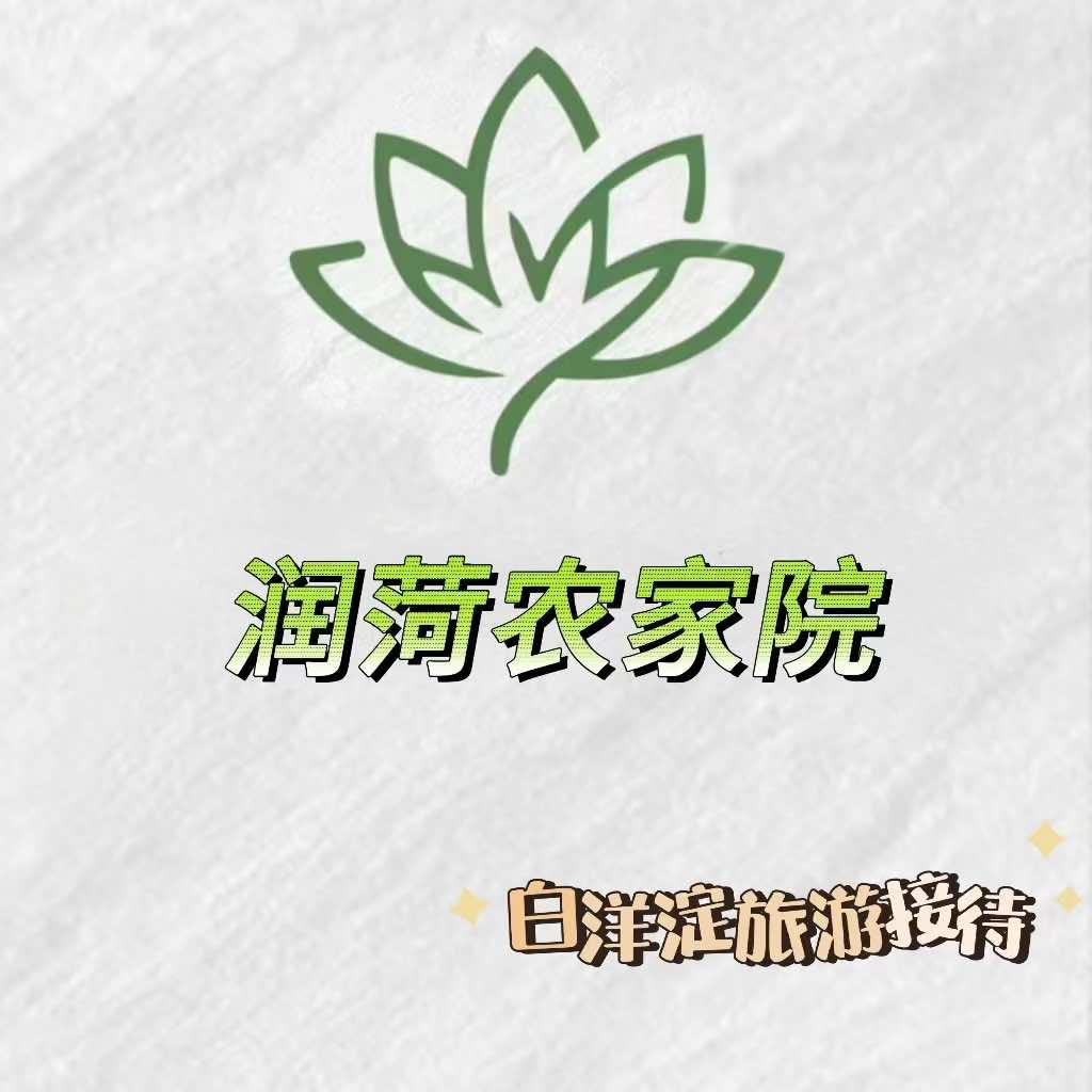 白洋淀润荷农家院