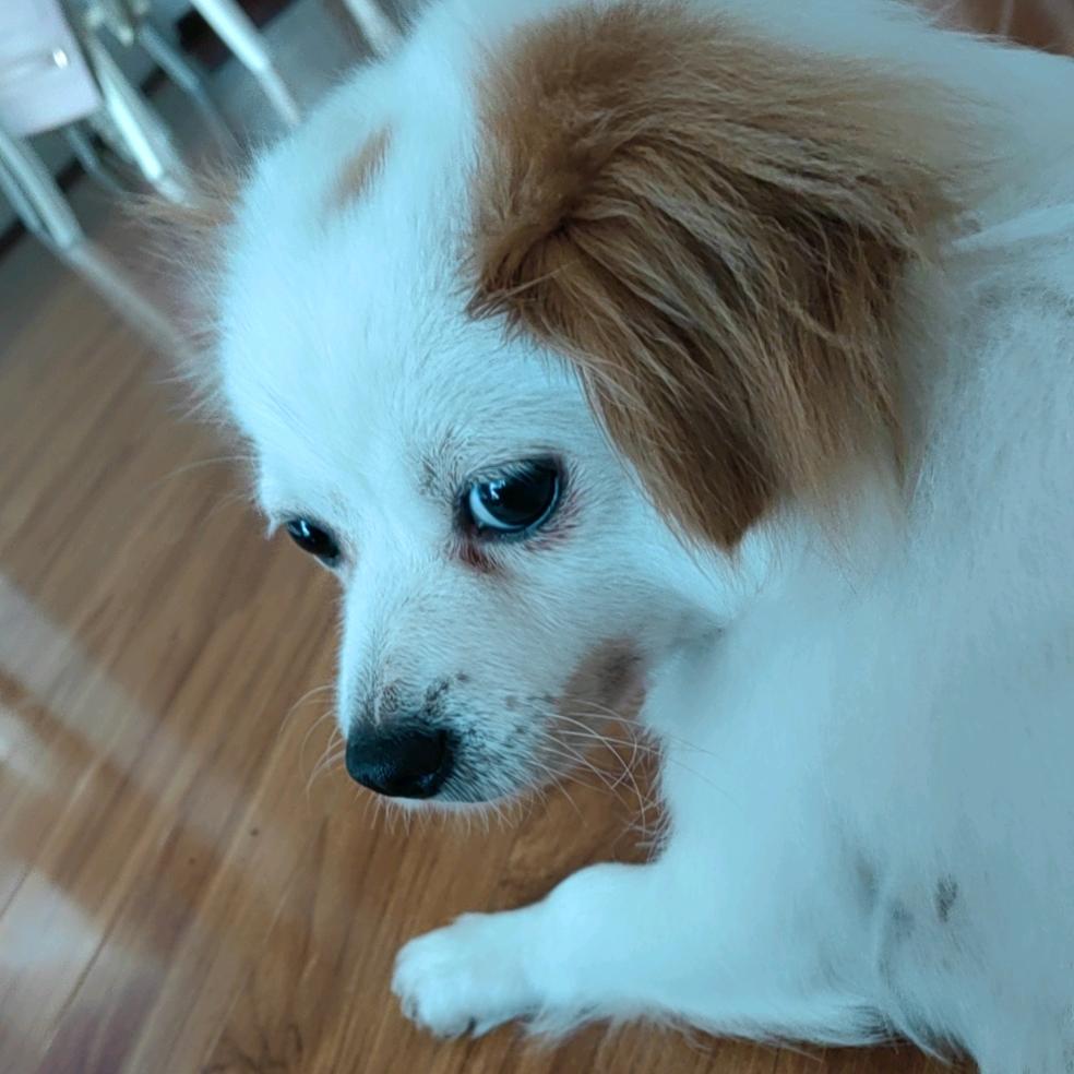 时尚电竞（春去春又回店）