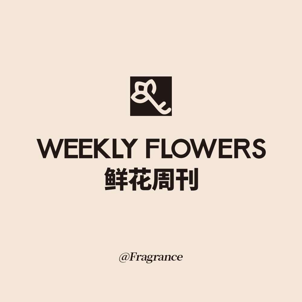 鲜花周刊WEEKLYFLOWERS香氛店