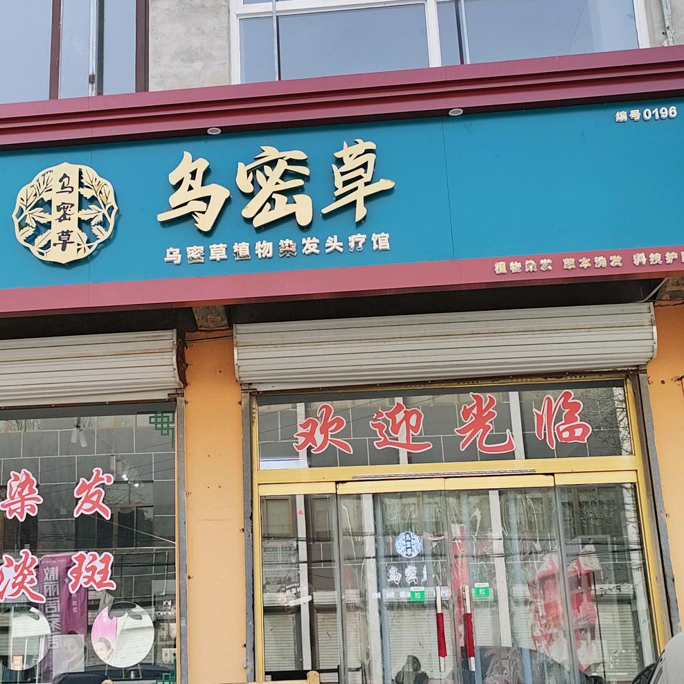 乌密草染发易县罗村店