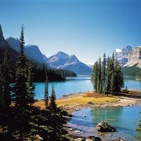 广州鹿凡建材222直播号