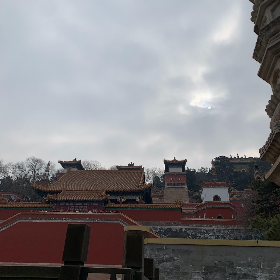 向金时.迹栎