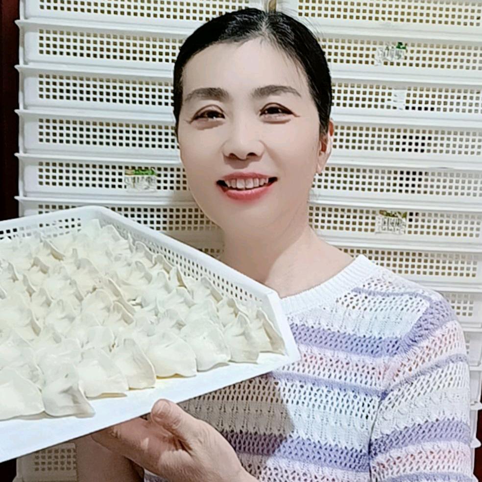 鸿燕鲜饺王官方号