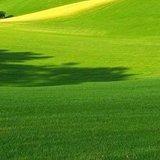 金海国粹凌福直播号