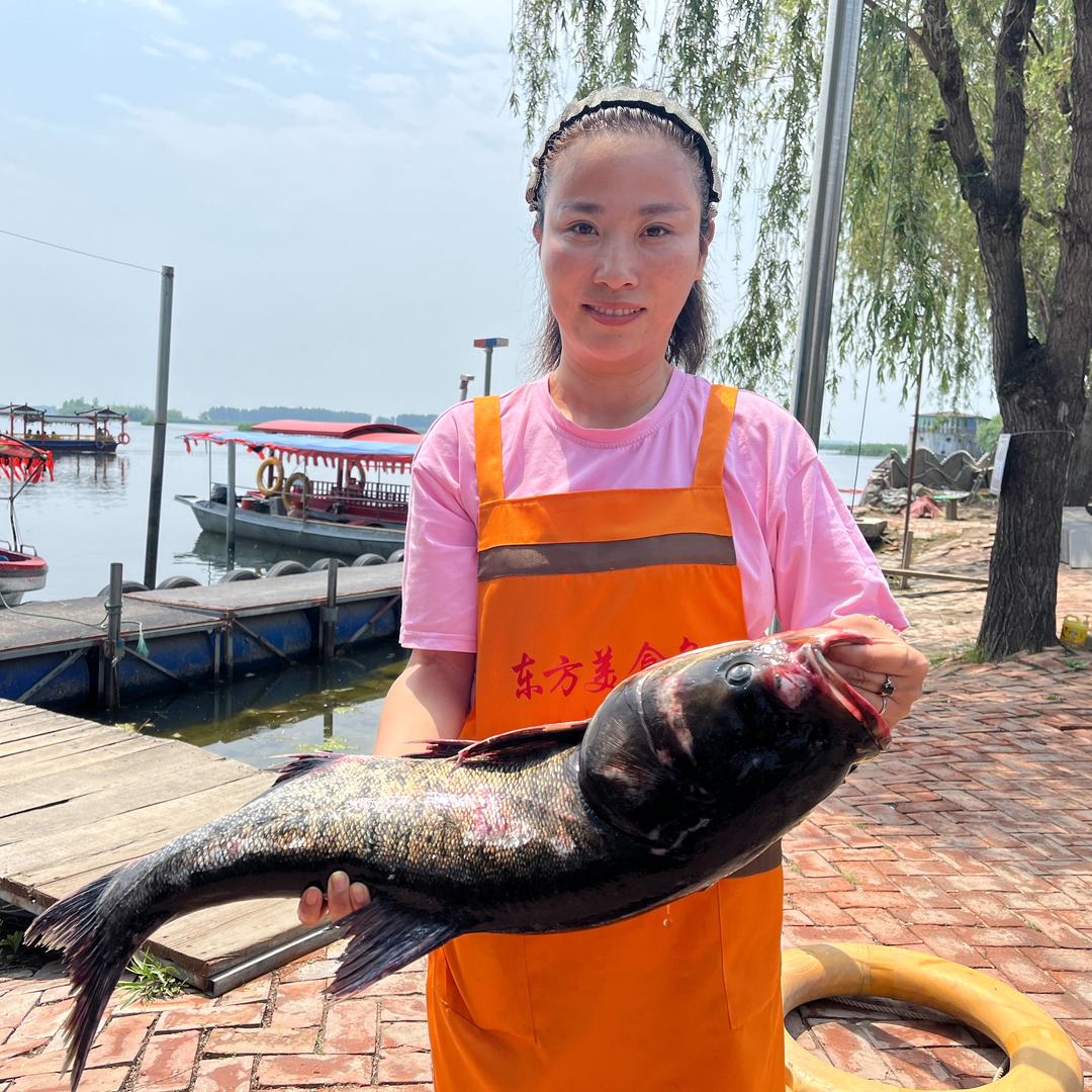 东方美食岛