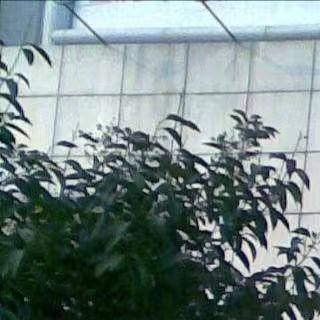 深圳智信祺电子商行sadwdq直播号