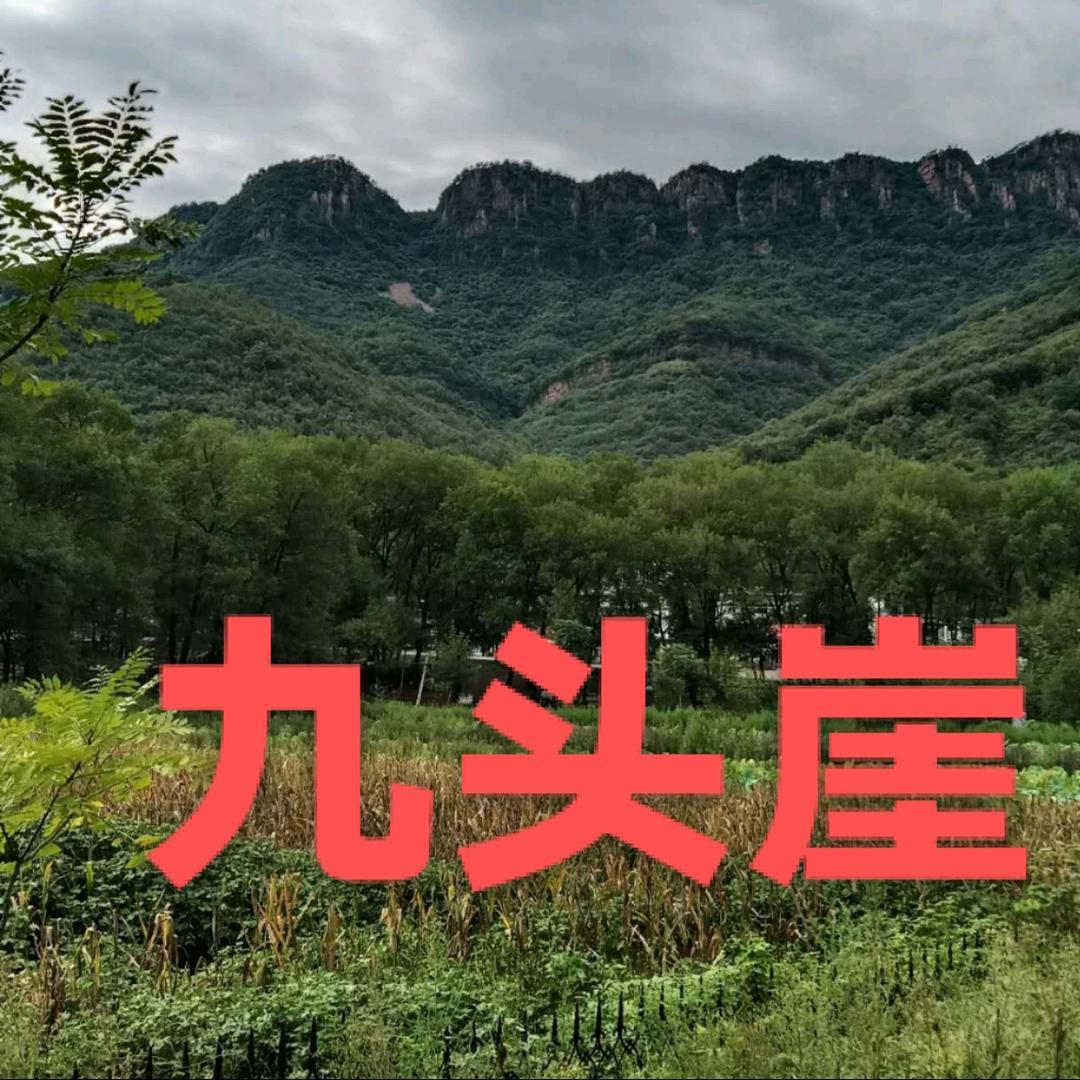 快乐花.，