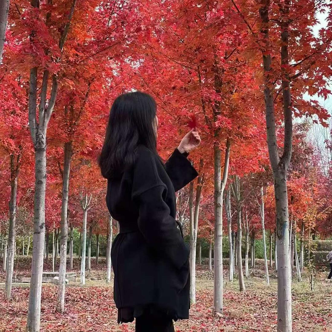 晚晚家毛呢穿搭馆