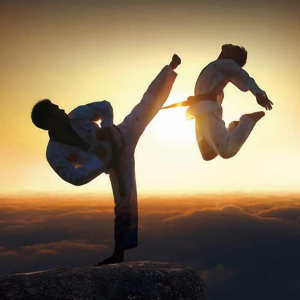 榆林市正和武道