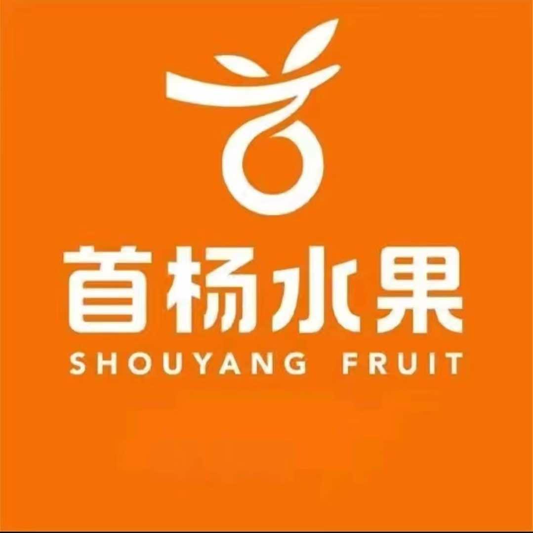 首杨水果正丰路店
