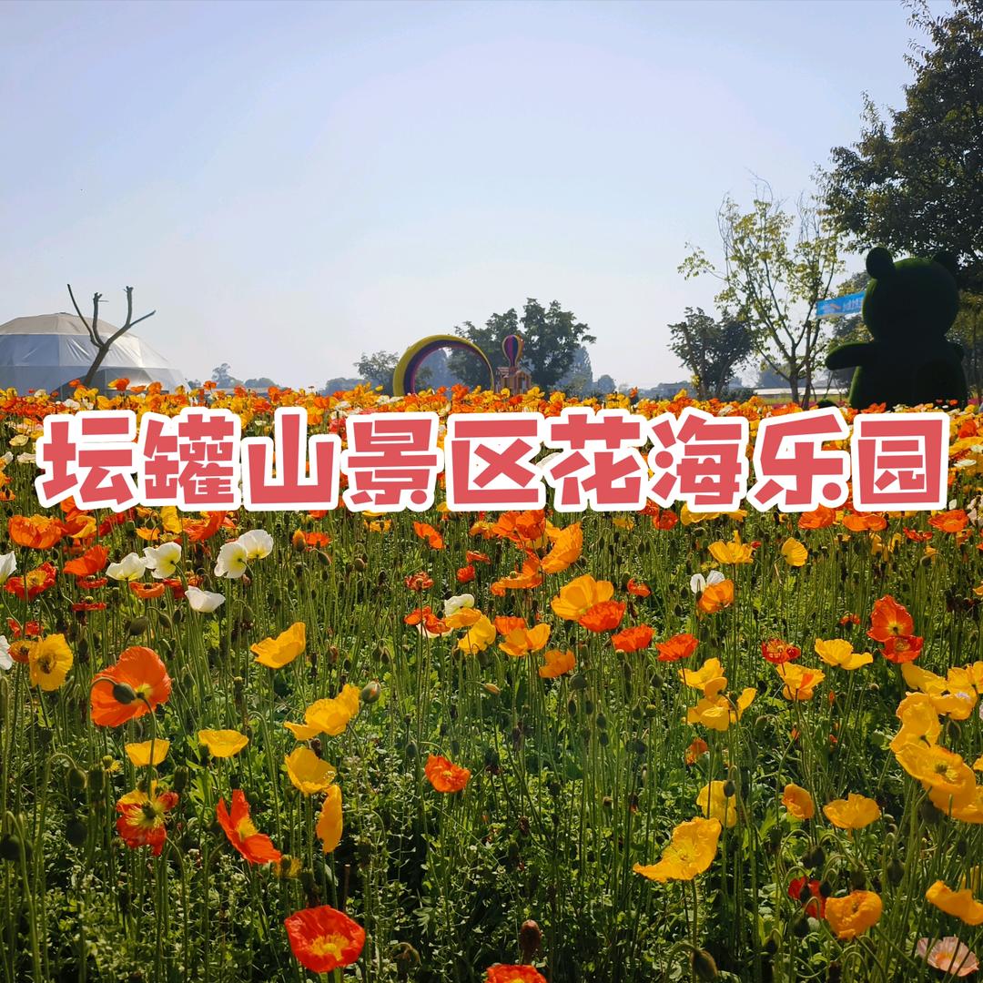 坛罐山景区花海