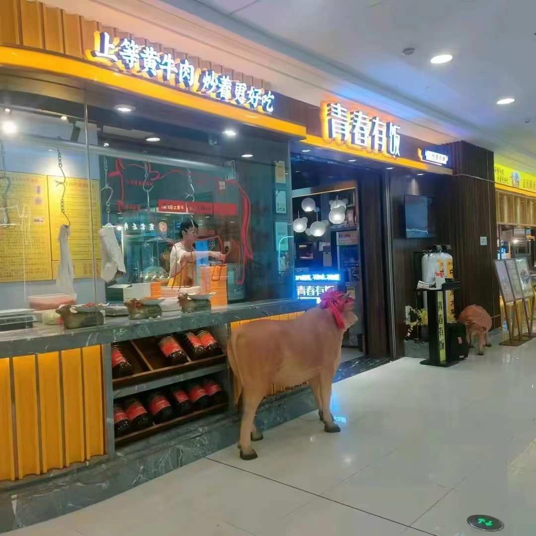 青春有饭(怀化-万达广场店)官方号