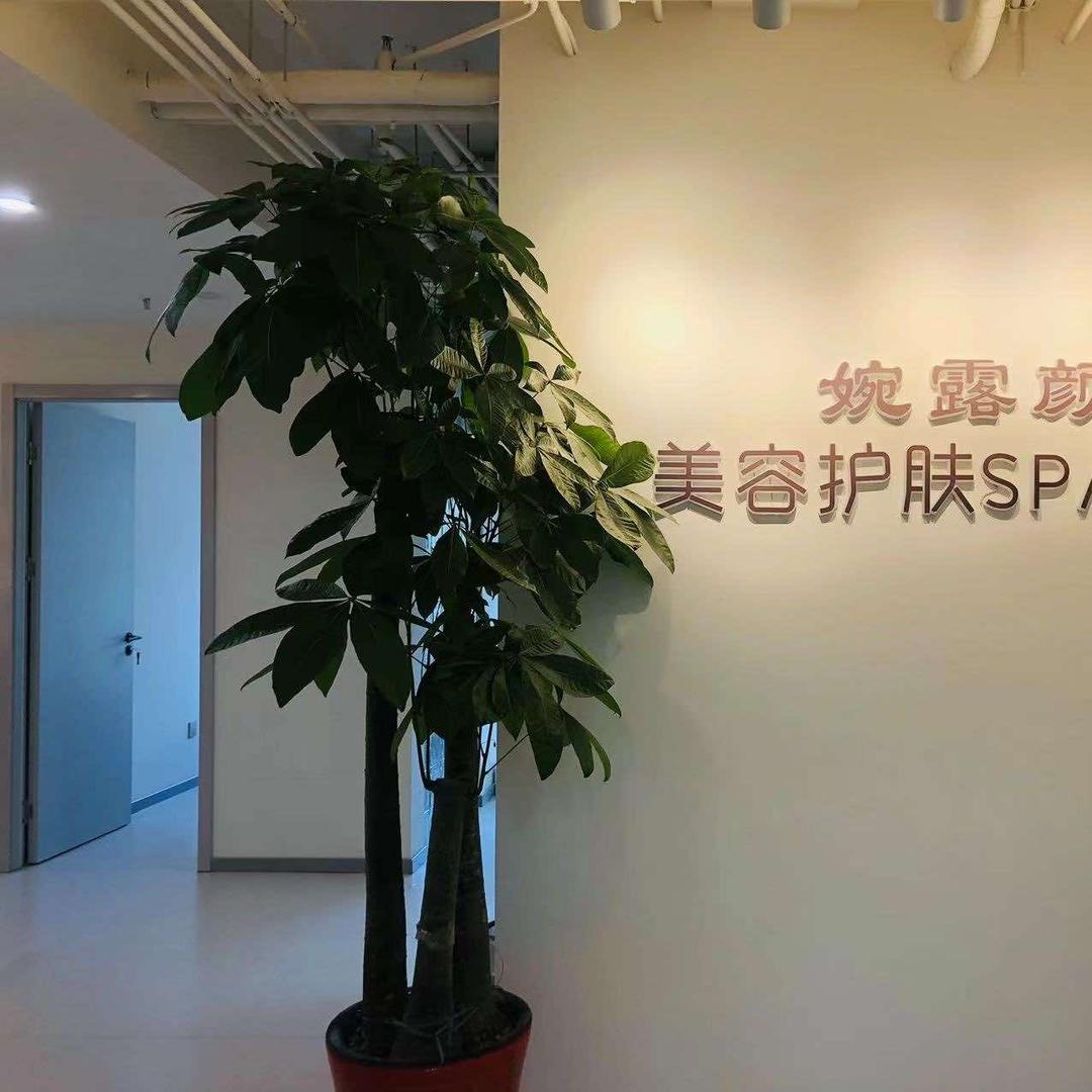 婉露颜科技护肤、SPA按摩