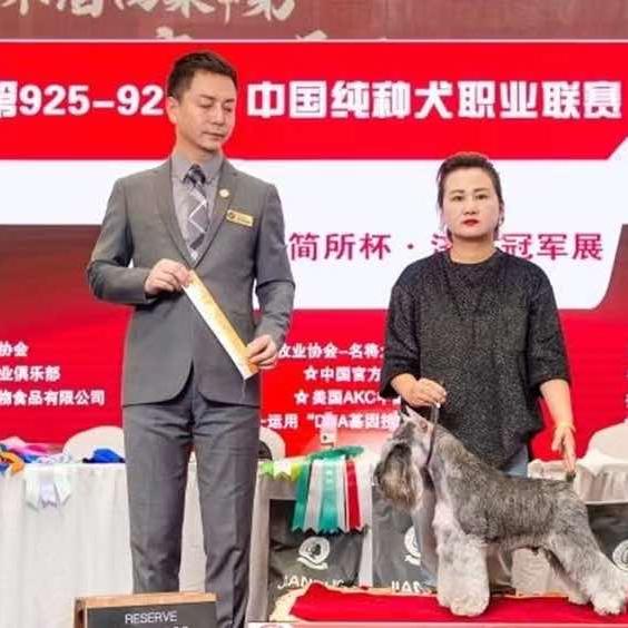 济南渡吉犬舍宠物