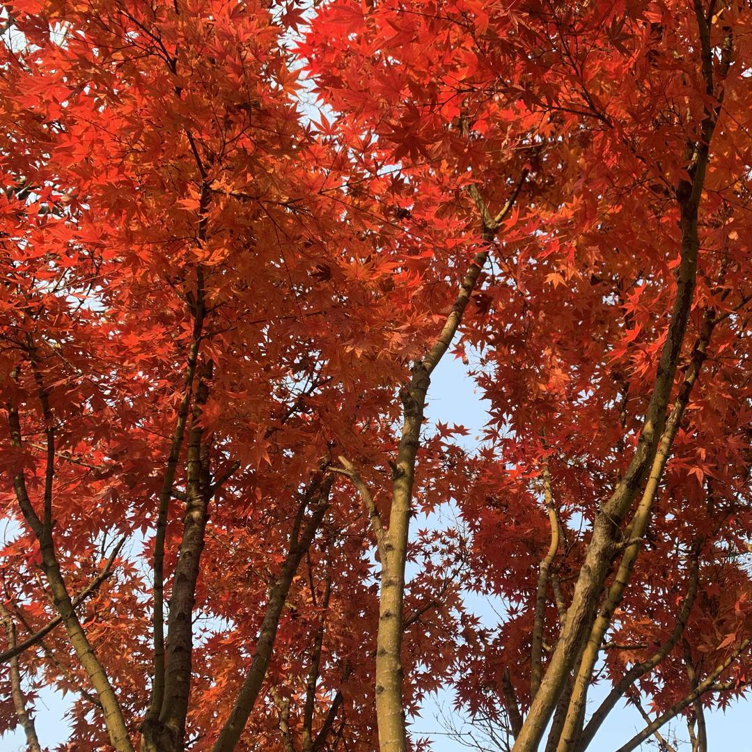 潍坊高新区妃妃美容美体中心