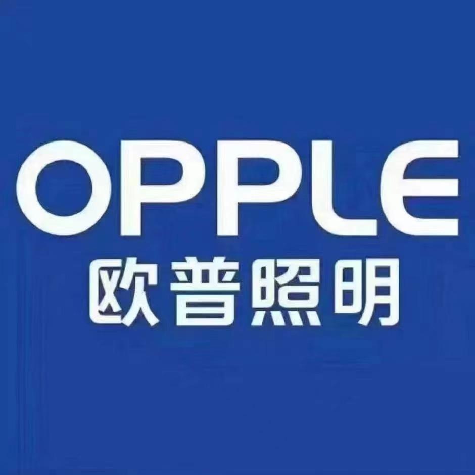 欧普照明（镇远店）