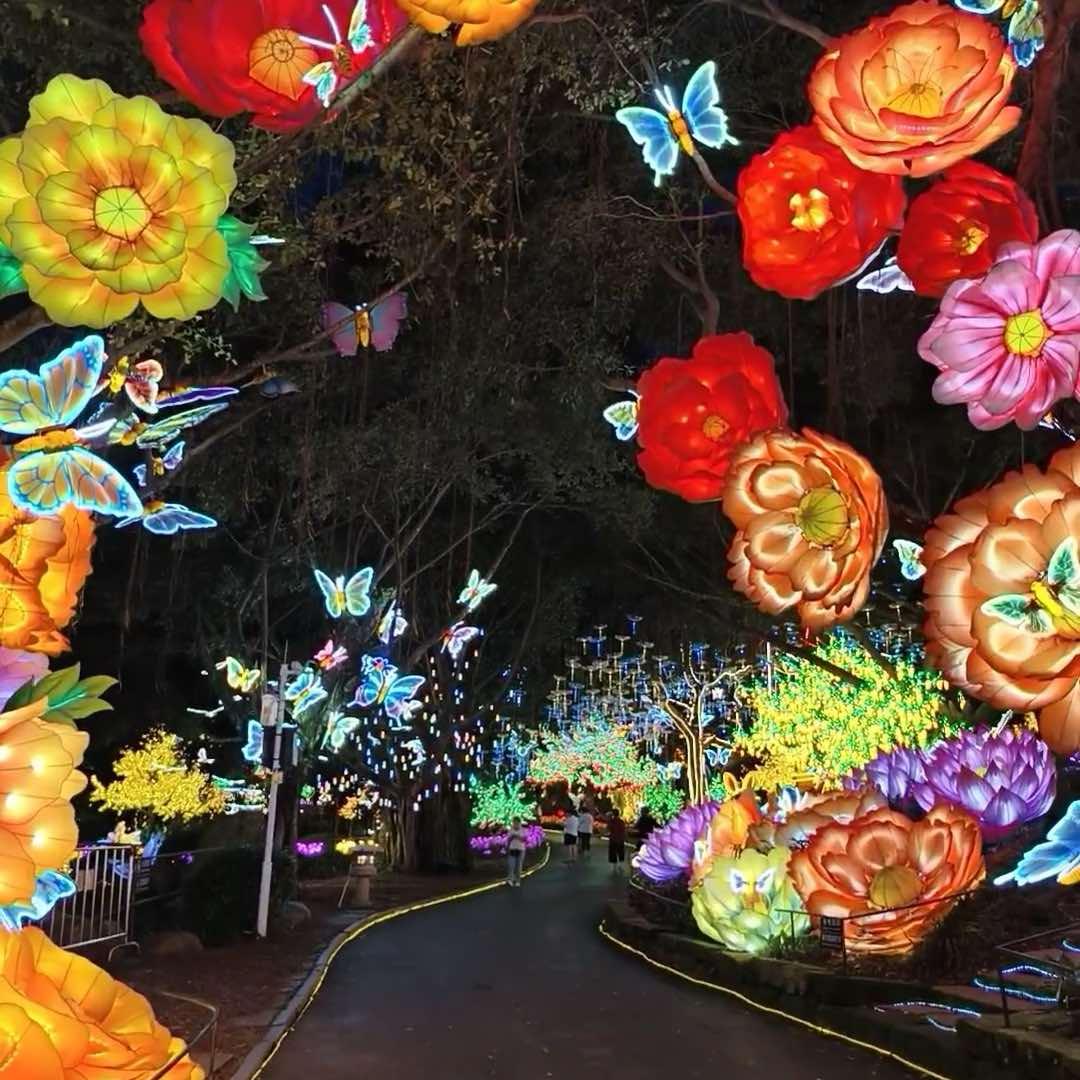 2025年环江千灯之夜官方号