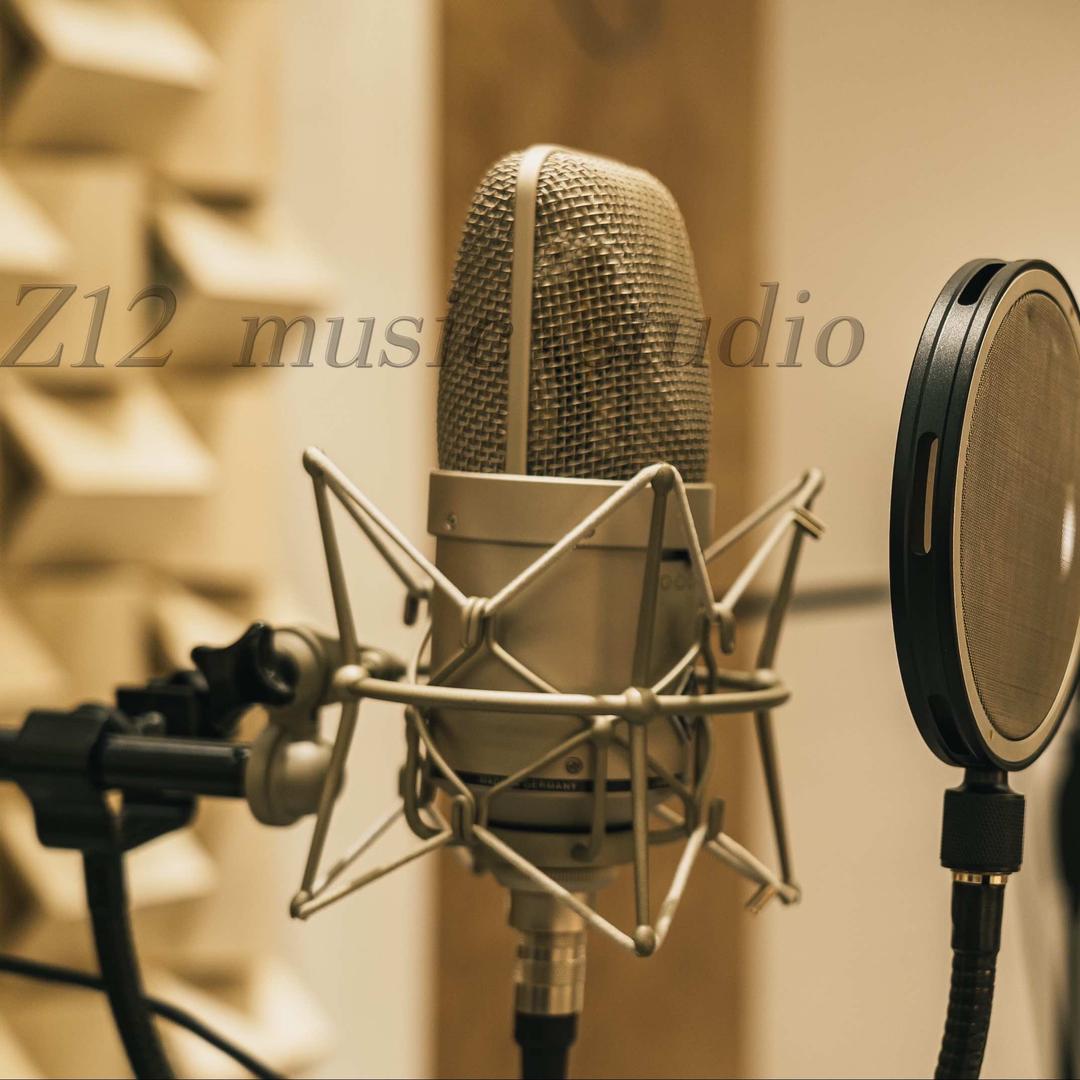 Z12原创Music官方号