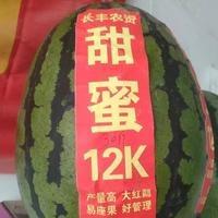砀山县金辉种苗有限公司
