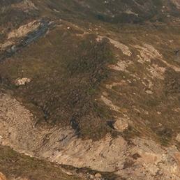 乾元晟括苍直播号