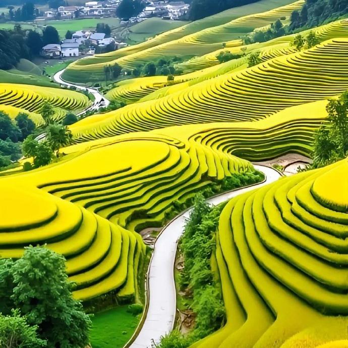 天明路天虹传媒直播号