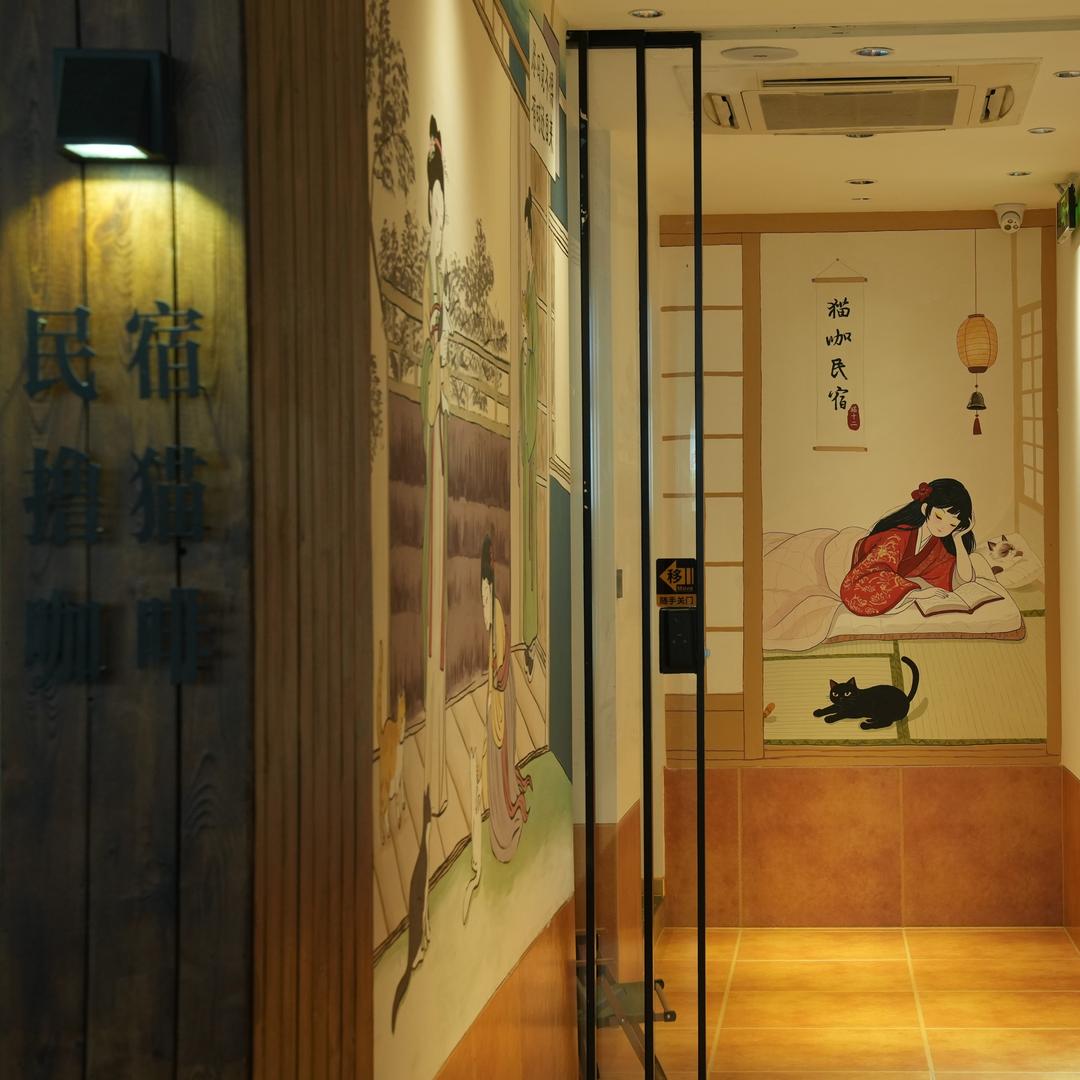 猫十二猫咖杨雪艳