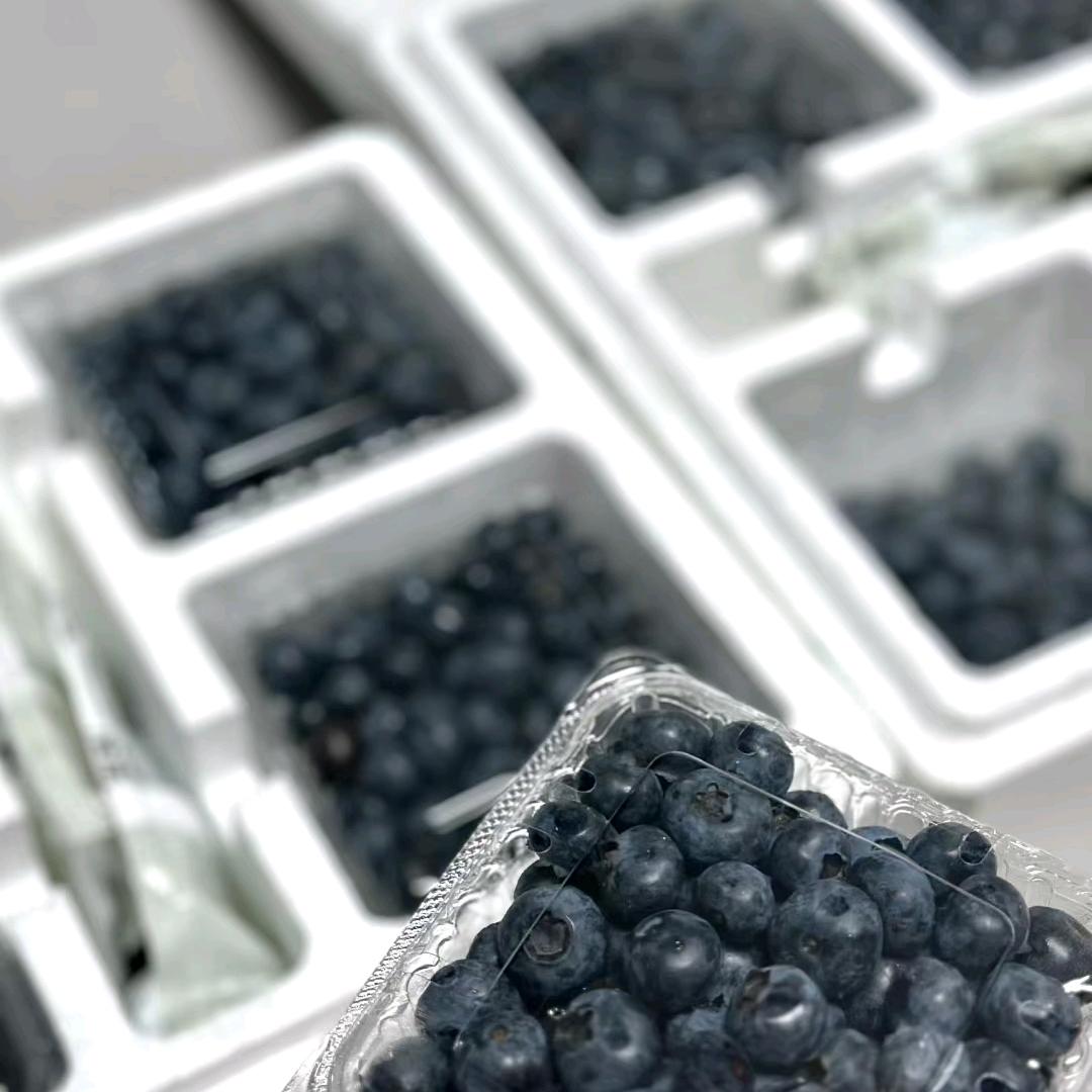 松山林场蓝莓采摘园官方号