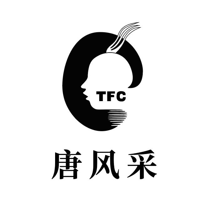武汉唐风采假发补发云尚店