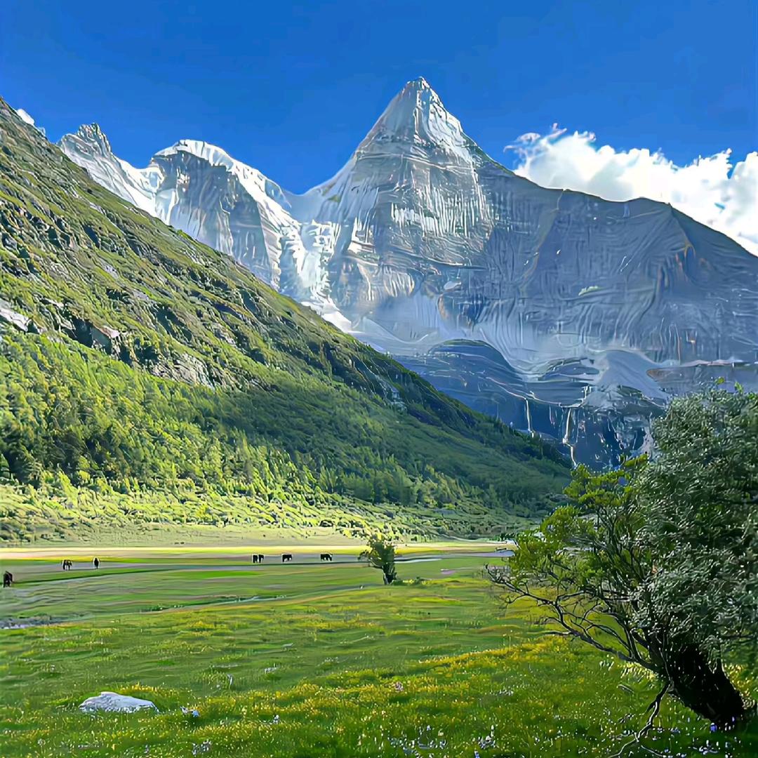 高设小松百货号