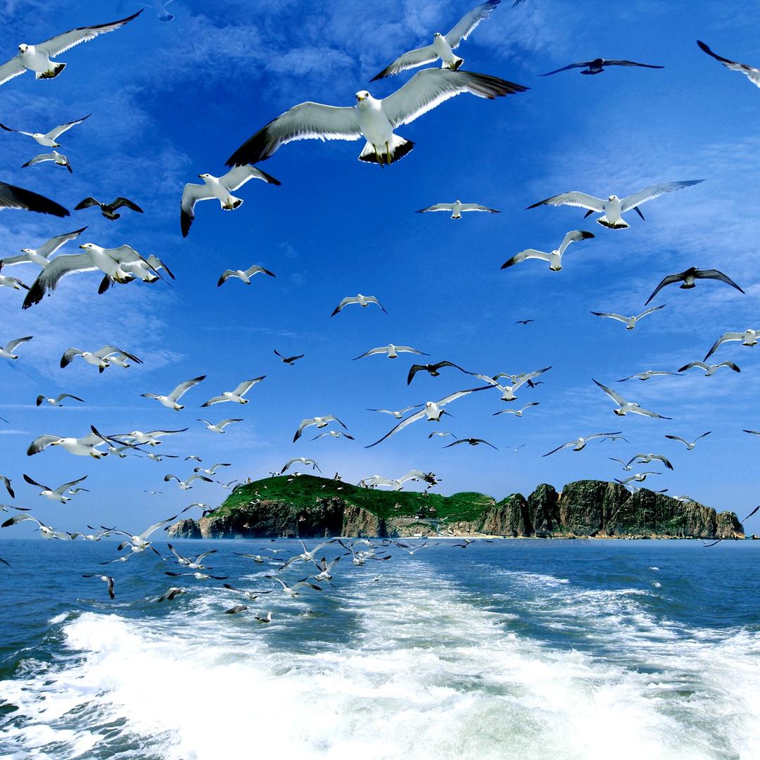 海驴岛景区海上游