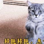 嵩嵩直播号