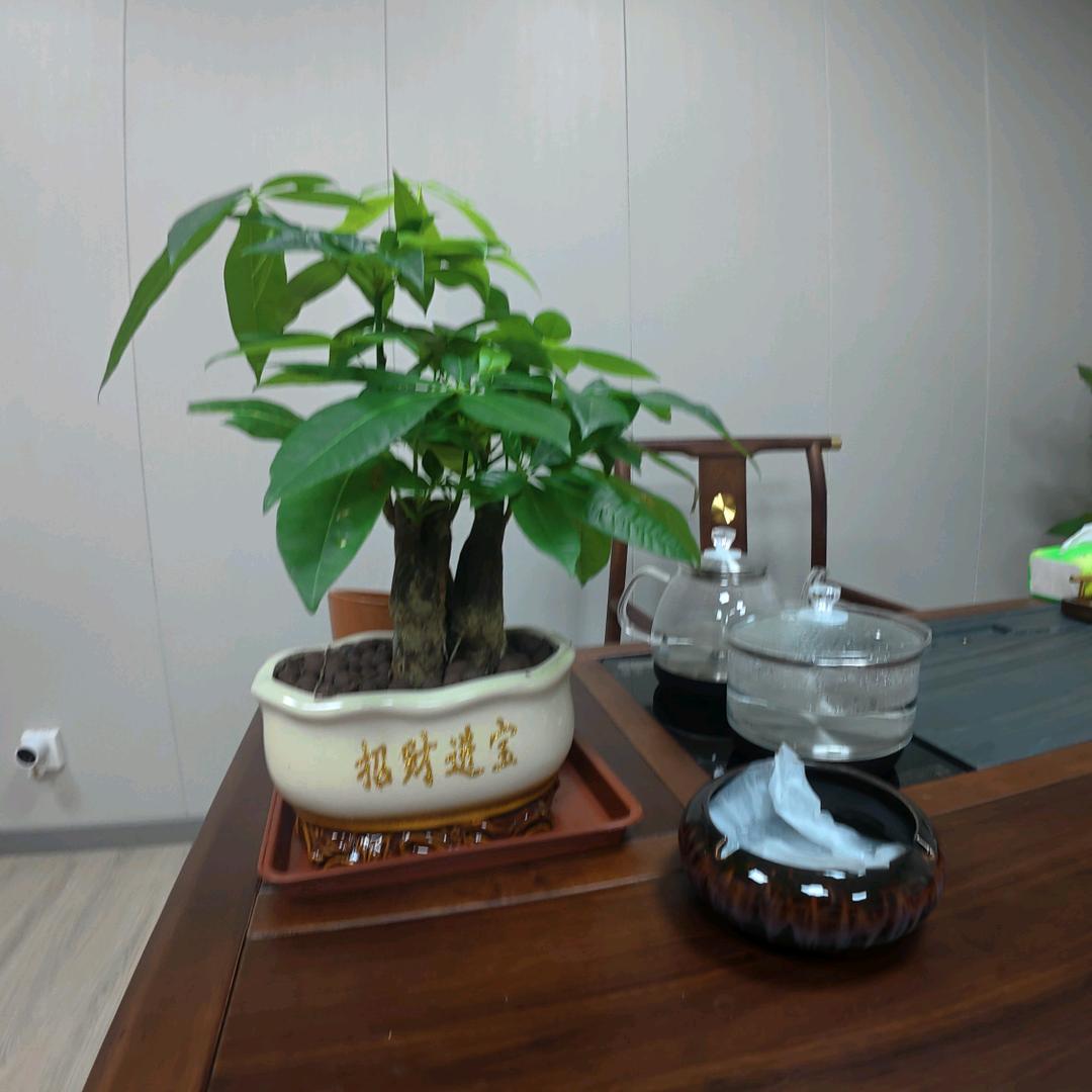 坤垚汇友棋牌官方号