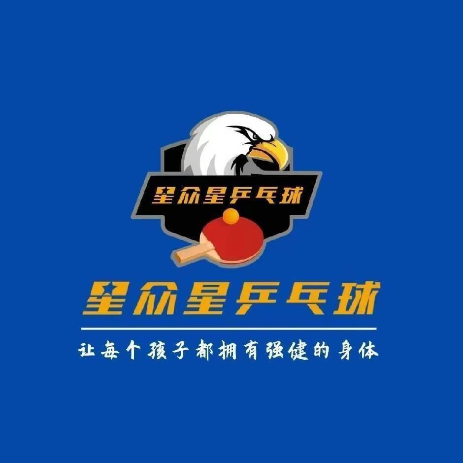 星众星乒乓星众星乒乓球(人信汇店)