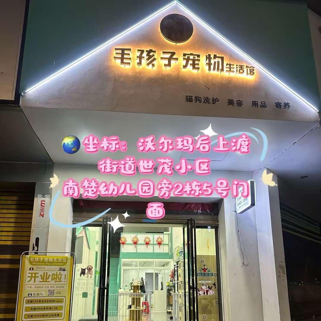 毛孩子宠物  生活馆