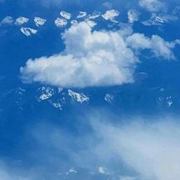 聪明娃涛蓝直播号