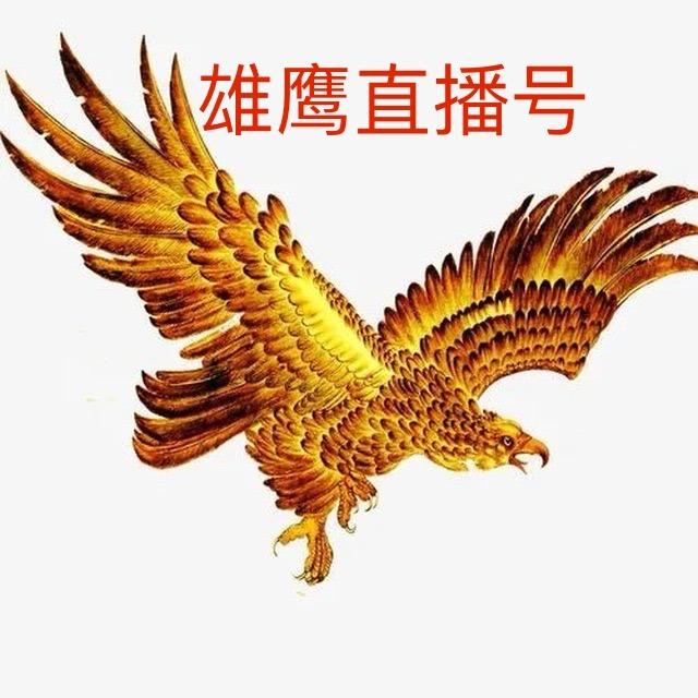 雄鹰1管理号