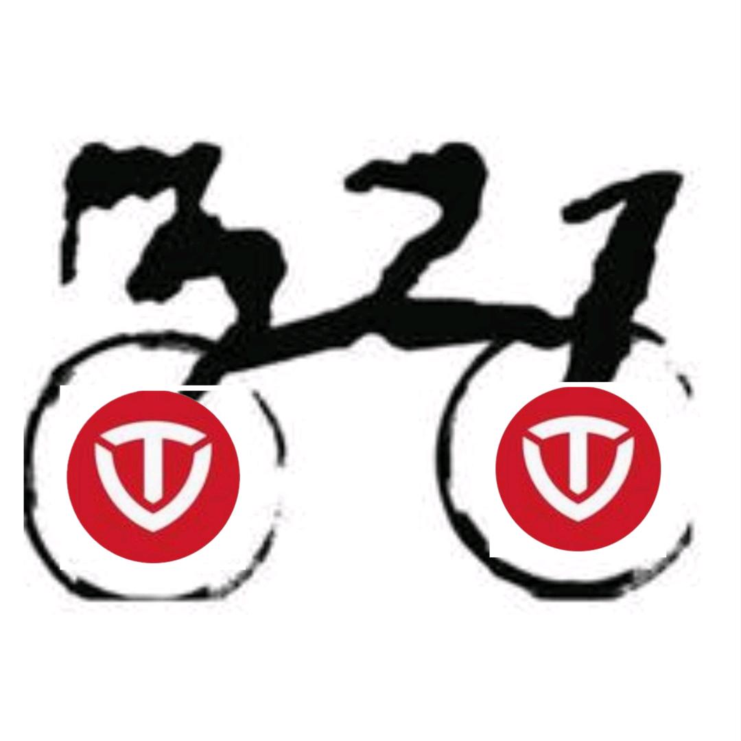 成都台铃电动车321总店