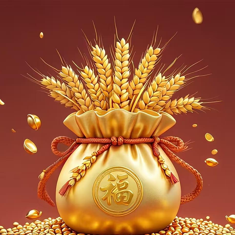 大涵小可龙腾