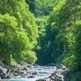 柯宁生活超市(北下朱小区店)直播号