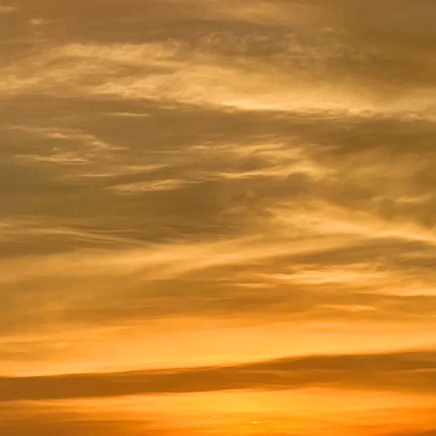 峪生斯22直播号