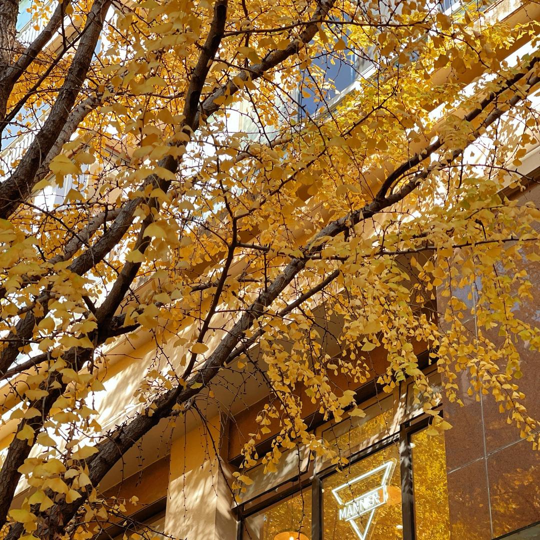 武汉市维阳天百货店DF直播号