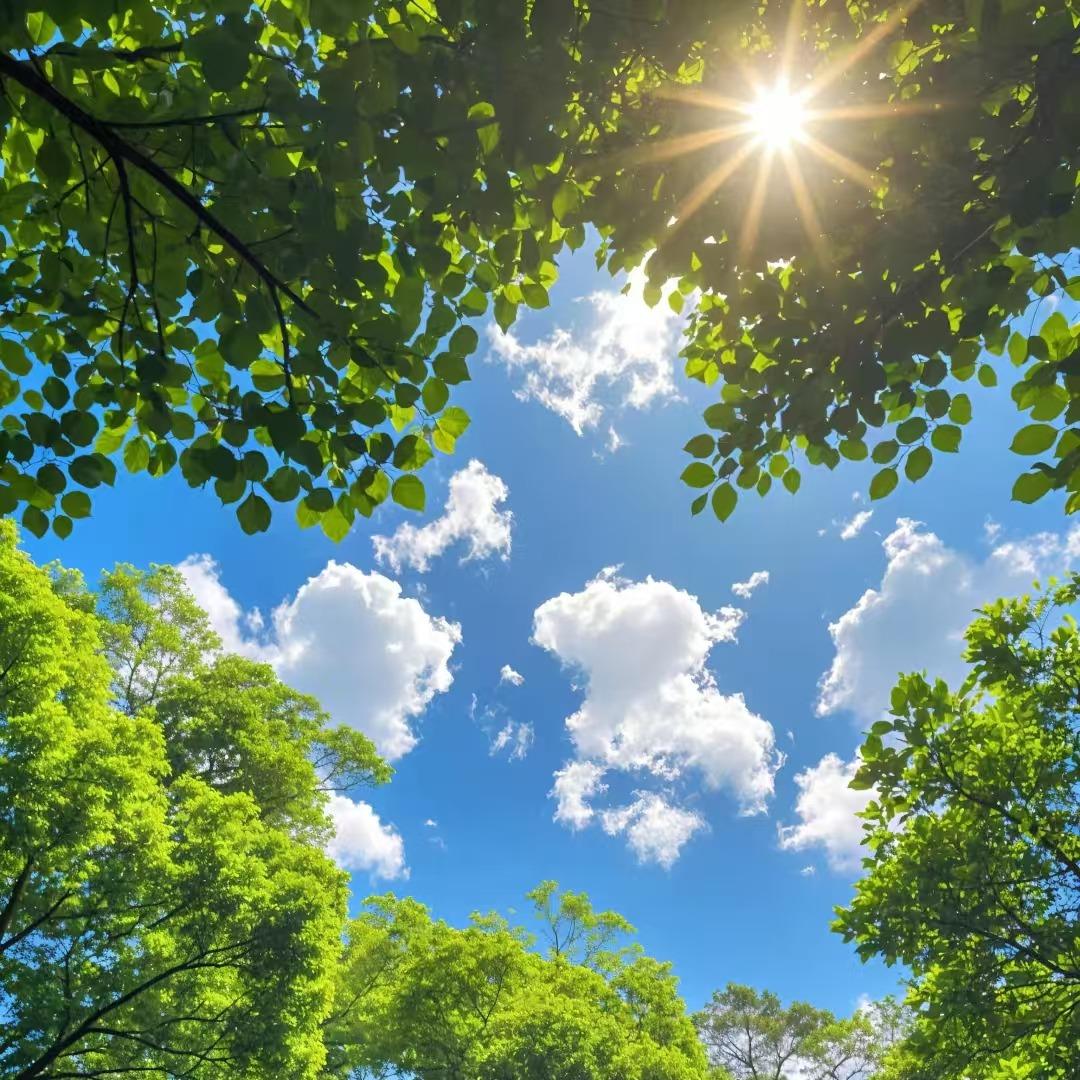 柯枉科技（广州）有限公司