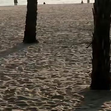 洛水应山官方号