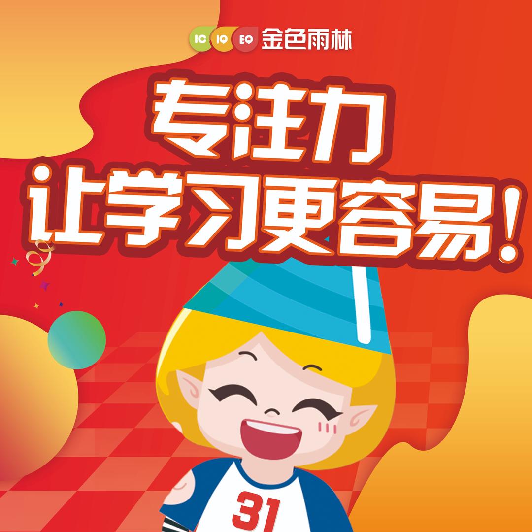 金色雨林儿童感统专注力-海珠校区